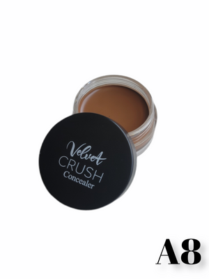 Velvet Crush Concealer