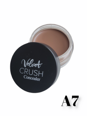 Velvet Crush Concealer