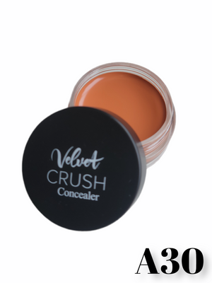 Velvet Crush Concealer